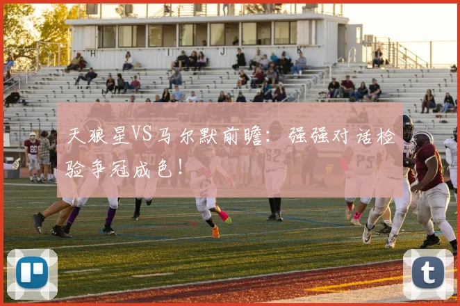 天狼星VS马尔默前瞻：强强对话检验争冠成色！