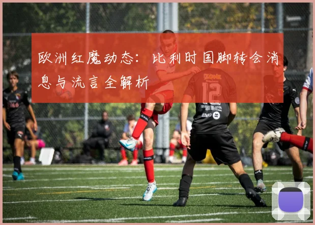 欧洲红魔动态：比利时国脚转会消息与流言全解析