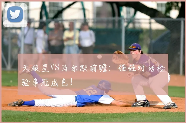 天狼星VS马尔默前瞻:强强对话检验争冠成色!